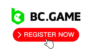 Discover Excitement at Casino BC.Game Madagascar 13