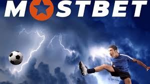 How to maximize your chances Tips for Success in Every Venture