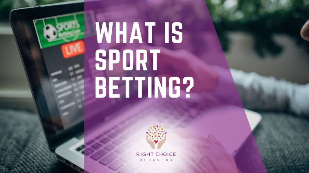 Top Bookmakers Worldwide Discover the Best Betting Platforms