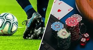 Discover Excitement with bd222 bet Discover Excitement with bd222 bet